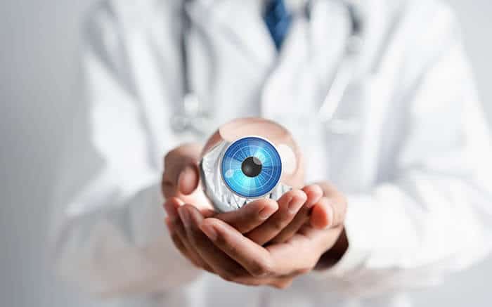 Doctor holding a model eye